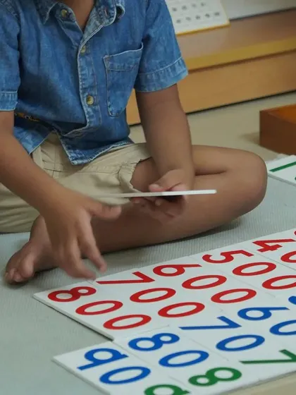 The large number cards are used with the golden bead material to help children associate the concrete quantities (beads) with their abstract symbols (numerals), from units to thousands.