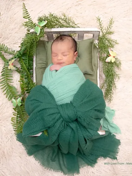 A gift-wrapped bundle of joy. This creative setup features a baby in a green swaddle with a large bow, resting on a tiny bed surrounded by ferns and butterflies.