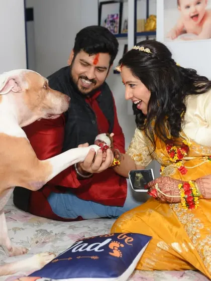 The genuine laughter and joy in this shot make it a perfect candid memory of the couple sharing the news with their furry family member.