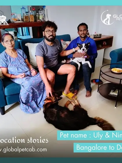 The happy family reunited! Uly and Nimki are pictured here at their new home in Delhi after a safe train journey from Bangalore with our handler.