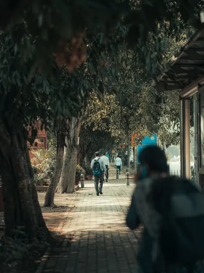 People walking down a tree-lined path in Delhi. The play of light and shadow on the pavement is something I always look for to add depth to my images.