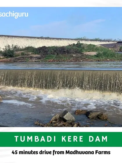 Tumbadi Kere Dam, 45 minutes from Madhuvana, is a tranquil spot perfect for picnics and bird watching, surrounded by lush greenery.