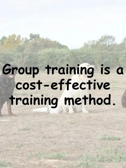 Group training is a cost-effective method to get expert guidance while benefiting from a structured learning environment.