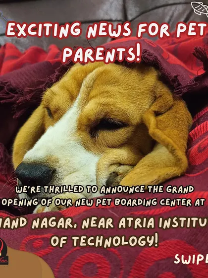 Exciting news for pet parents! We are thrilled to announce the grand opening of our new pet boarding center in Anand Nagar, a safe and loving home away from home.