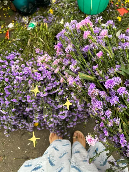 My feet among a sea of purple flowers, with some yellow star doodles for a magical touch.
