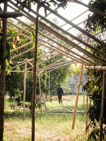 A team member walks through a full-scale bamboo mock-up of a building's roofline. This allows us to experience the volume of the space and its relationship to the surrounding foliage firsthand.