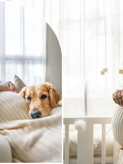 A split image showing a golden retriever resting its head on a pillow and a pregnant woman holding a sonogram next to a crib.