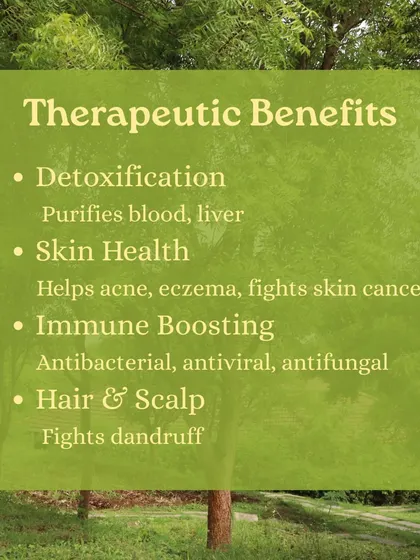 Captions for these will be educational, explaining the Ayurvedic properties and uses of plants like Neem (Nimbi) and Amla (Amalaki), or detailing aspects of the Ayurveda retreats and courses as shown in the images.