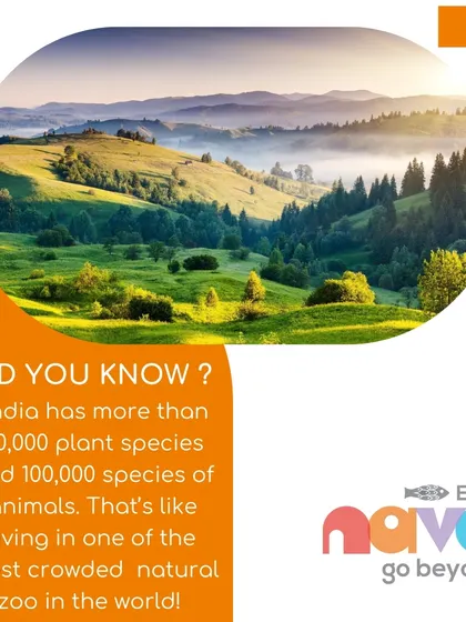 A fascinating fact about India's incredible biodiversity. I use these figures to help children grasp the scale of our natural world and the importance of preserving it for future generations.