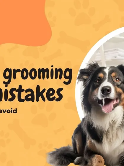 Here are 5 common grooming mistakes to avoid to keep your pet happy and healthy.
