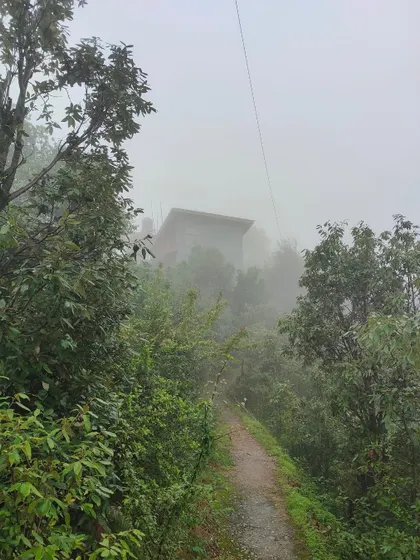 A misty morning walk. The path leading to the retreat shrouded in fog, capturing the quiet, mystical charm of the mountains.