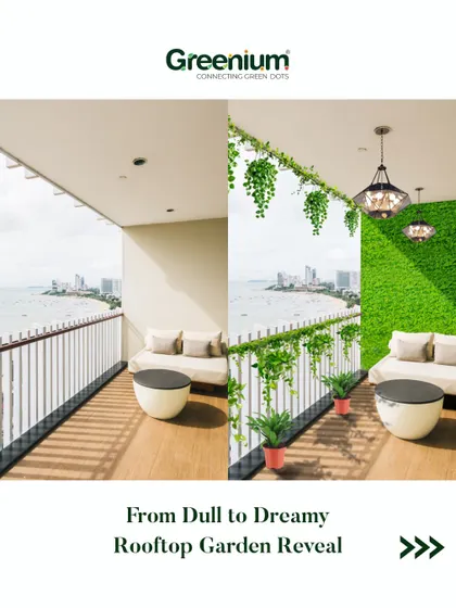A before and after look at a rooftop garden transformation. I turned this dull, empty balcony with a sea view into a dreamy green space using an artificial grass wall, hanging creepers, and cozy seating.