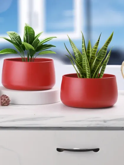 Here are two of our red metal planters styled with a Snake Plant and another easy-care houseplant. Their simple, elegant shape works well in any modern home setting.