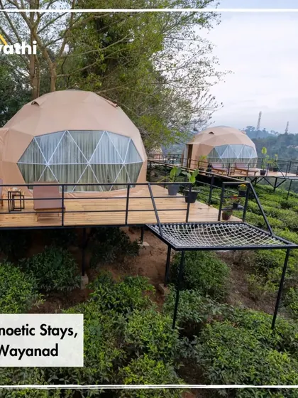 Escape to a different world in these luxury geodesic domes in Wayanad. I find these unique stays that offer modern comfort right in the middle of nature, perfect for when you want to unplug and wake up to stunning views of tea estates.