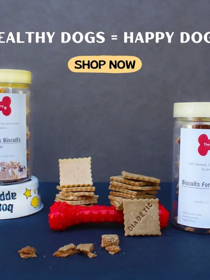 Healthy dogs are happy dogs. This image showcases my Weight Loss Biscuits and Biscuits for Diabetic Dogs, both handmade with love and without any sugar or preservatives.