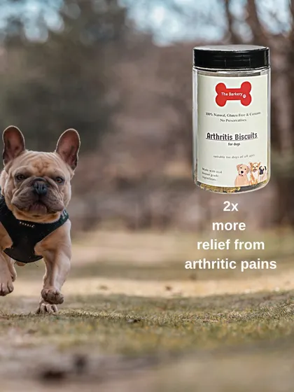 See your dog run with joy again. My Arthritis Biscuits are formulated to provide twice the relief from arthritic pains compared to standard treats, thanks to their natural, human-grade antioxidant properties.