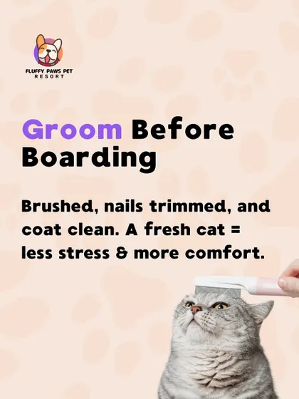 A well-groomed cat is a comfortable cat. We recommend brushing, nail trimming, and ensuring their coat is clean before boarding to reduce stress.