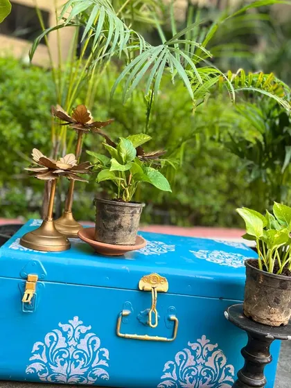 I love using unconventional items as plant stands. This brightly painted vintage trunk adds a pop of color and a touch of rustic charm to this plant arrangement.