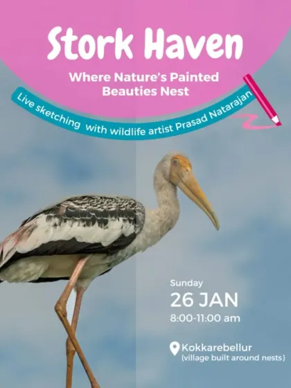 A poster for "Stork Haven," a special bird-watching event to observe nesting Painted Storks, combined with a live sketching session with a wildlife artist.