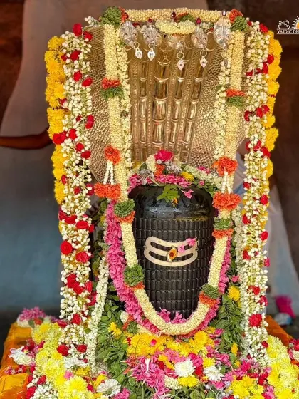 A close up of the beautifully decorated Shiva Lingam on Maha Shivratri morning. The garlands of fresh flowers are a symbol of our love and devotion offered to the divine.