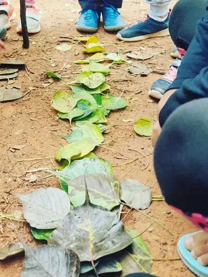 Children create a beautiful gradient using leaves collected from the park floor, arranging them from green to brown to understand the lifecycle of a leaf.