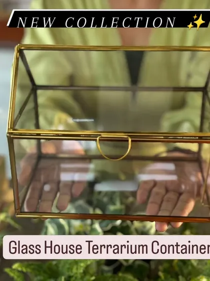 I love the elegance of this Glass House Terrarium Container from my new collection. Its classic design is perfect for creating a self-sustaining closed terrarium or even for displaying keepsakes. I source these premium containers to give your creation a truly special home.