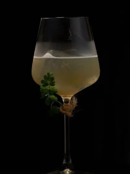 A sophisticated white wine cocktail. The simple garnish of a single sprig of parsley and a twine wrap around the stem gives it an earthy, organic feel.