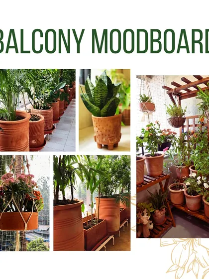 A mood board showcasing a balcony garden designed entirely with sustainable principles. It features terracotta pots, wooden racks, and hanging planters, proving that eco-friendly can be beautiful.