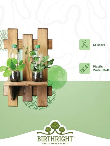This DIY wall shelf made from scrap wood and plastic bottles is a perfect way to create a vertical garden in a small space.