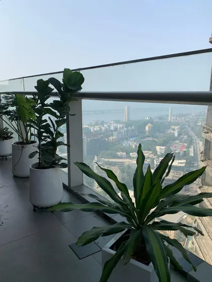 This is a look at a high-rise balcony project in Worli, where I used a series of modern white planters to create a clean, elegant green space. The plants were chosen to withstand the wind and sun exposure while framing the incredible city and sea view.