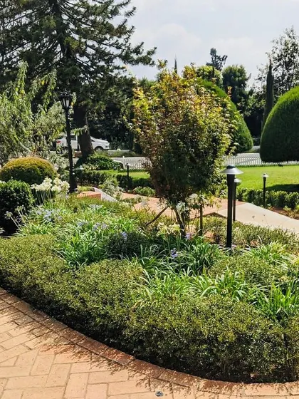 The formal garden beds with their sculpted hedges and vintage-style lamps create an elegant and timeless atmosphere.