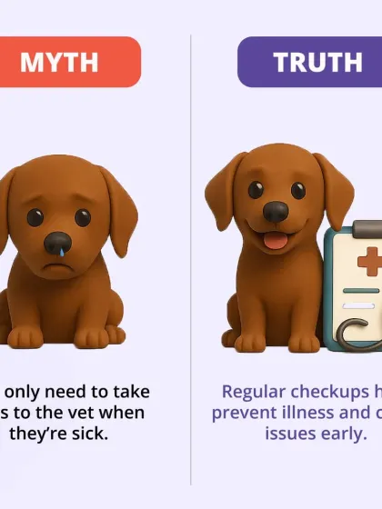 Myth: You only need to take pets to the vet when they're sick. Truth: Regular checkups are crucial for preventing illness and catching health issues early.