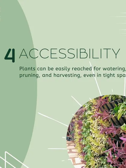 A graphic explaining the accessibility of vertical gardens, making it easy to water, prune, and harvest plants even in tight spaces.