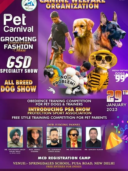 As event partners for the Canine Welfare Organisation's Pet Carnival, we supported a great day of activities including a GSD specialty show, a pet fashion show, and an all-breed dog show.
