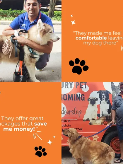 "They made me feel so comfortable leaving my dog there." "They offer great packages that save me money!" Client feedback like this makes my day.