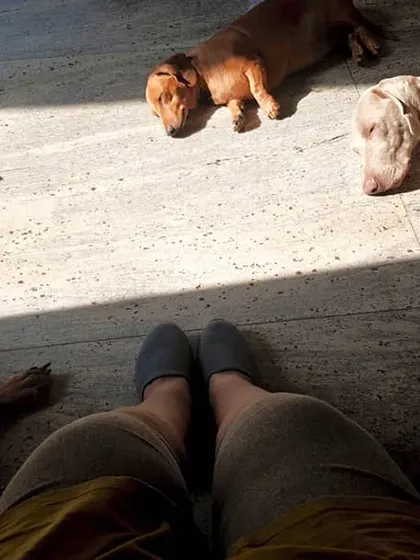 My circle of love. This is a typical Sunday morning, me on the floor, surrounded by a pack of peacefully sleeping dogs. This is my happy place.