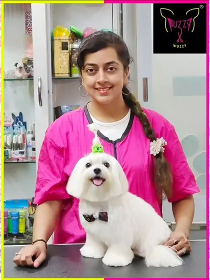 Shifu is feeling fresh after his summer spa session. This shorter cut is perfect for keeping him cool and clean during warmer months.