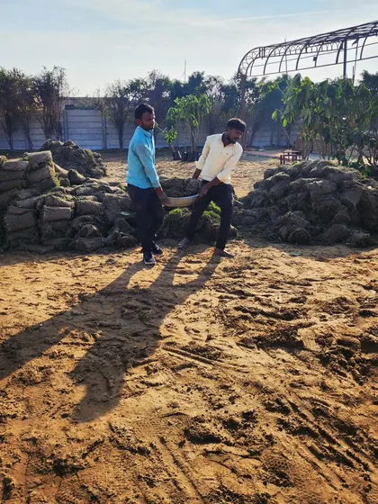 Our workers carry heavy loads of turf, showcasing the manual effort and teamwork that goes into our large-scale lawn installation projects.
