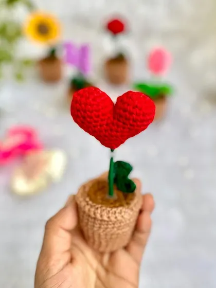 A potted red heart, because sometimes love grows in a pot too. This is a cute and unique gift for someone special.