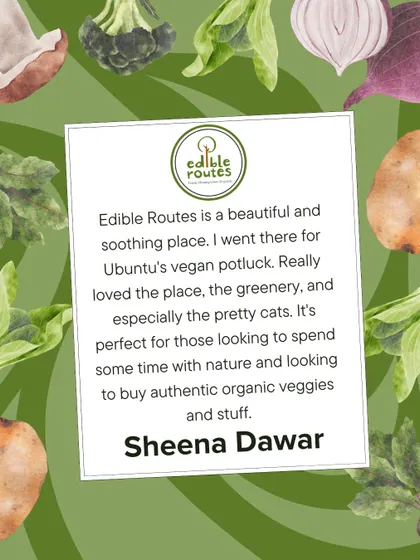 "A beautiful and soothing place... perfect for those looking to spend some time with nature." Thank you, Sheena! We're happy you enjoyed the greenery and our friendly resident cats.