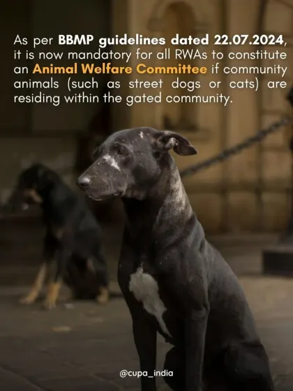 As per recent BBMP guidelines, it is now mandatory for all RWAs to form an Animal Welfare Committee if community animals reside in their area. This is a legal tool you can use.
