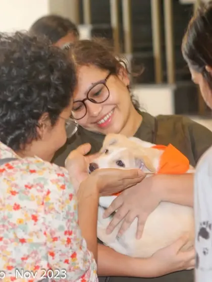 Thank you to Atta Galatta for hosting our fantastic adoption camp. We love the wonderful vibe of your gorgeous new space and can't wait to be back.