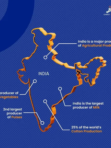 As the largest producer of milk, fruits, and vegetables, and the second-largest producer of pulses, India is a powerhouse of raw materials. I help you turn this agricultural abundance into processed goods for domestic and global markets.