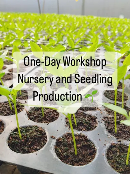 Join us to delve into the art of seedling production. Our one day workshop covers everything from nursery types and climate management to pest control.
