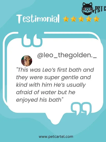"This was Leo's first bath and they were super gentle and kind with him." We specialize in making first-time grooming a positive experience, even for pets who are afraid of water.