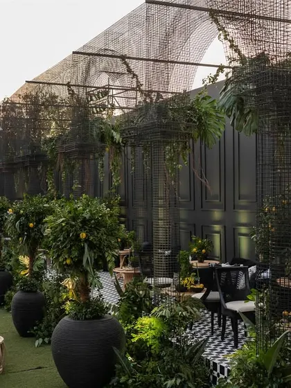 A wide view of the 'Lemon Garden' sangeet, where we used black structures, checkerboard floors, and rows of lemon trees to create a unique night garden feel.