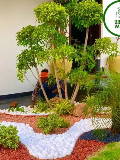 A close-up of a garden landscaping project, showing how I use a mix of plants and natural stone pebbles to create a beautiful and low-maintenance garden bed.