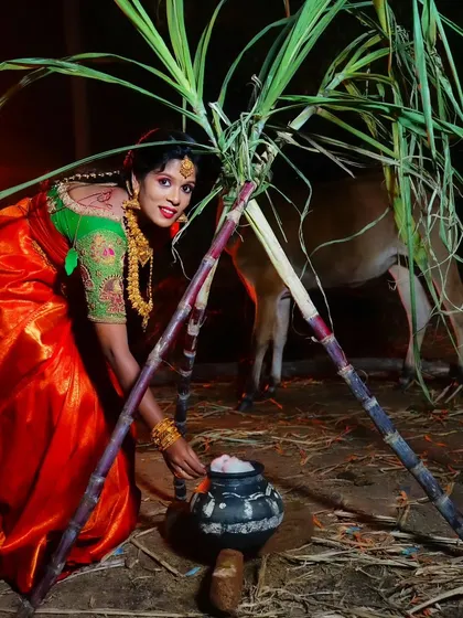 Celebrating Mattu Pongal with our traditional rental attire and jewellery. This captures the authentic spirit of the festival.