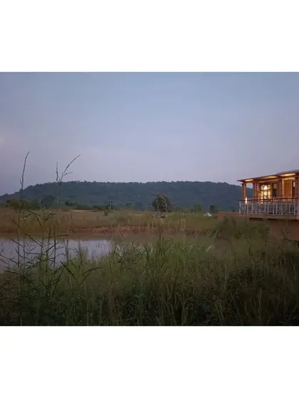 A serene view from the deck of the Waghoba Ecolodge, overlooking the lake and the hills. We created this water body to attract biodiversity and to serve as a beautiful, reflective foreground to the wilderness beyond.