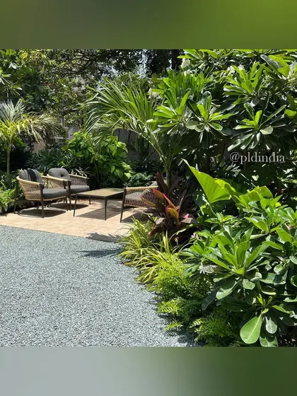 This image shows the combination of textures I use, with a smooth paved patio, a fine gravel area, and lush plantings. The seating area is nestled among the greenery, offering a tranquil spot at the building's entrance.